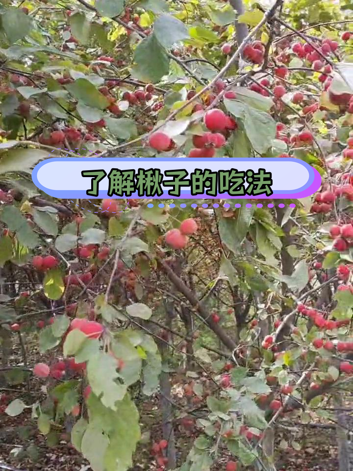 排毒养颜,自然选择学说