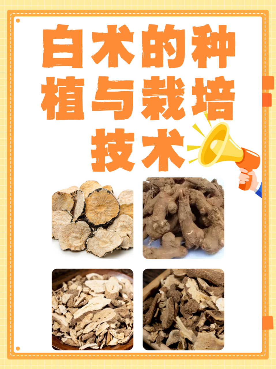 白术的主要功效