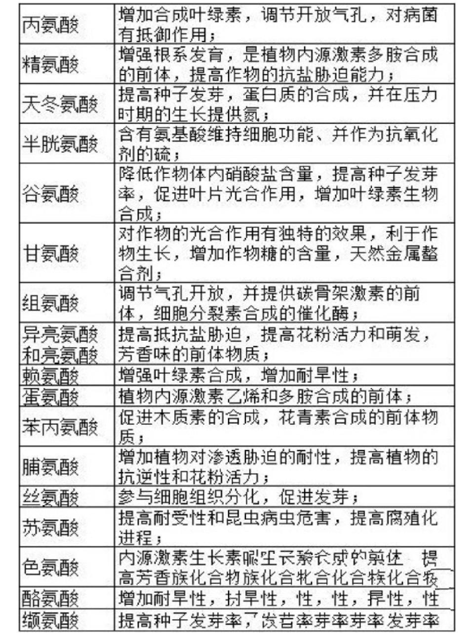 氨基酸如何帮身心健康?
