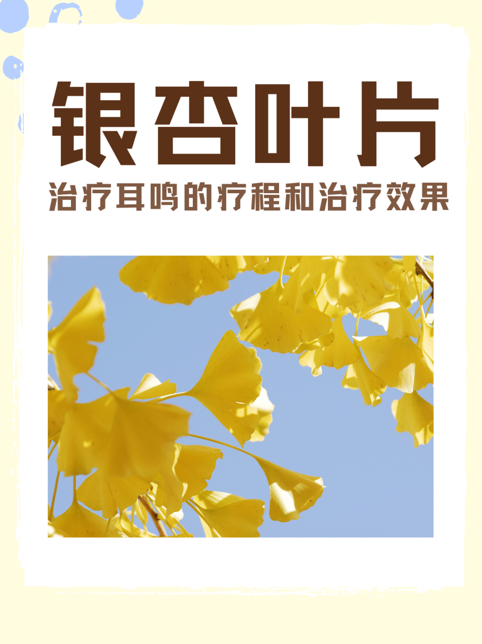 提高记忆力和执行功能