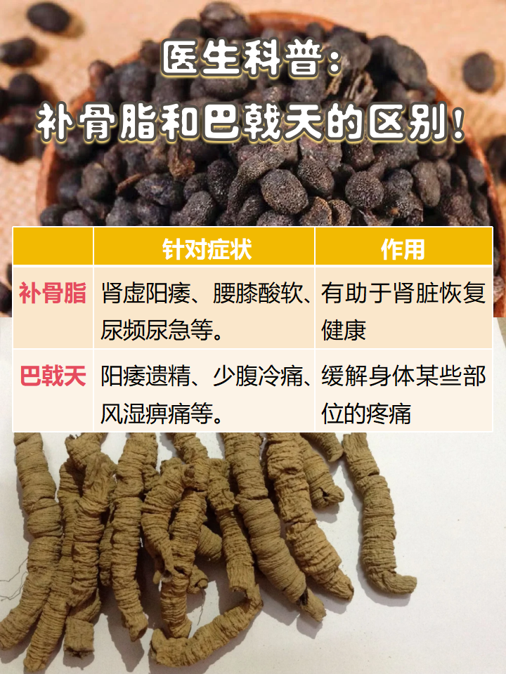 适用人群与注意事项