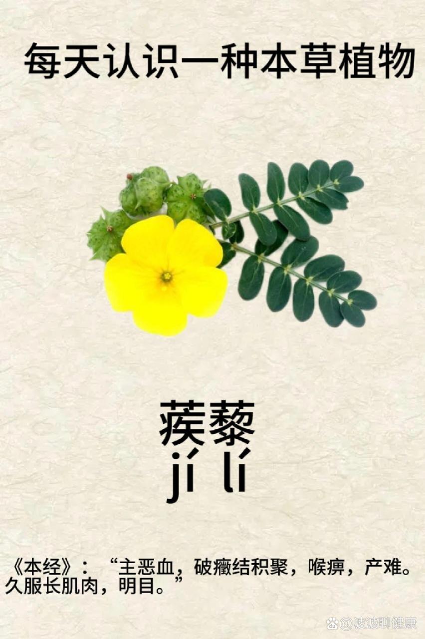 常见的使用方式