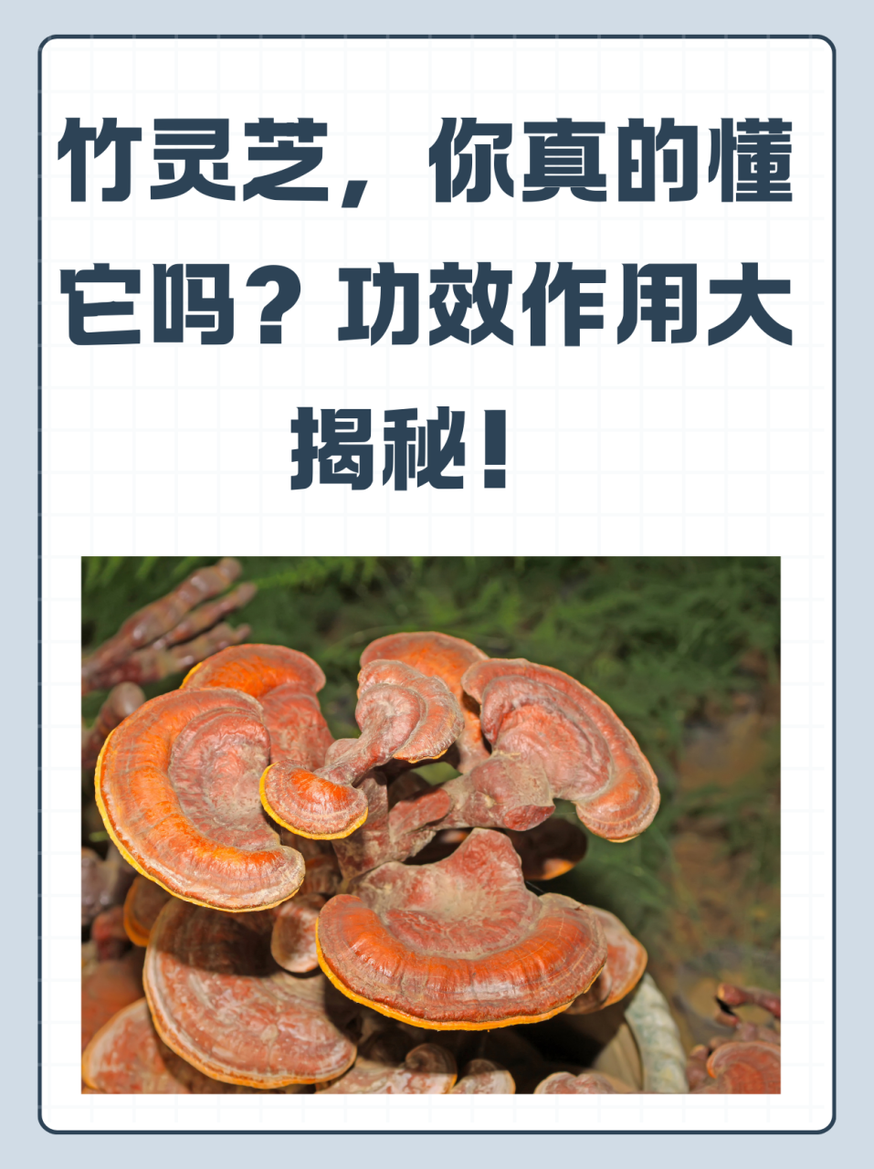 调整血糖和血脂,维护心脏健康