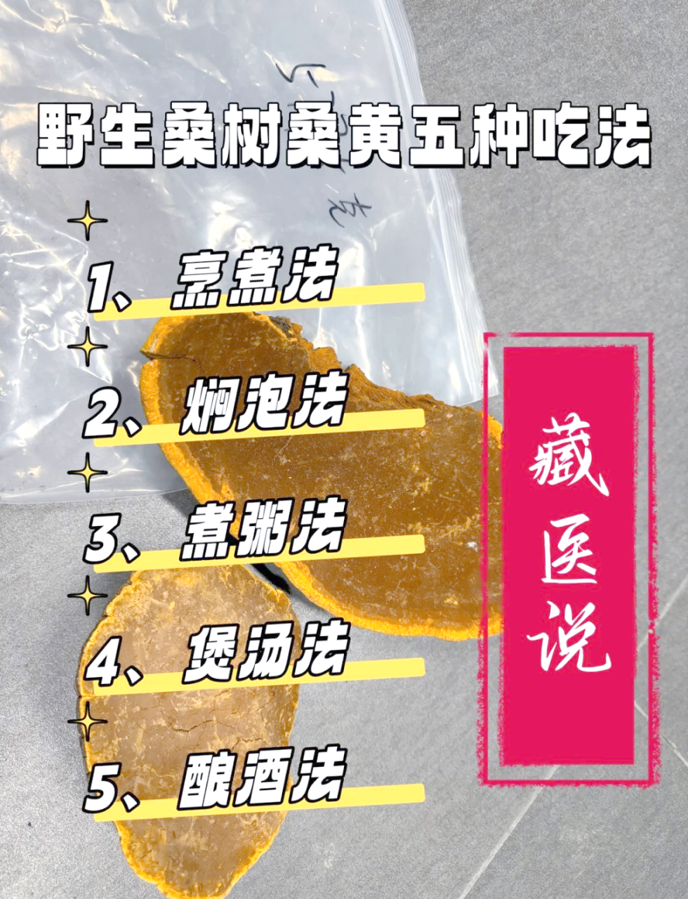 如何正确使用桑黄?