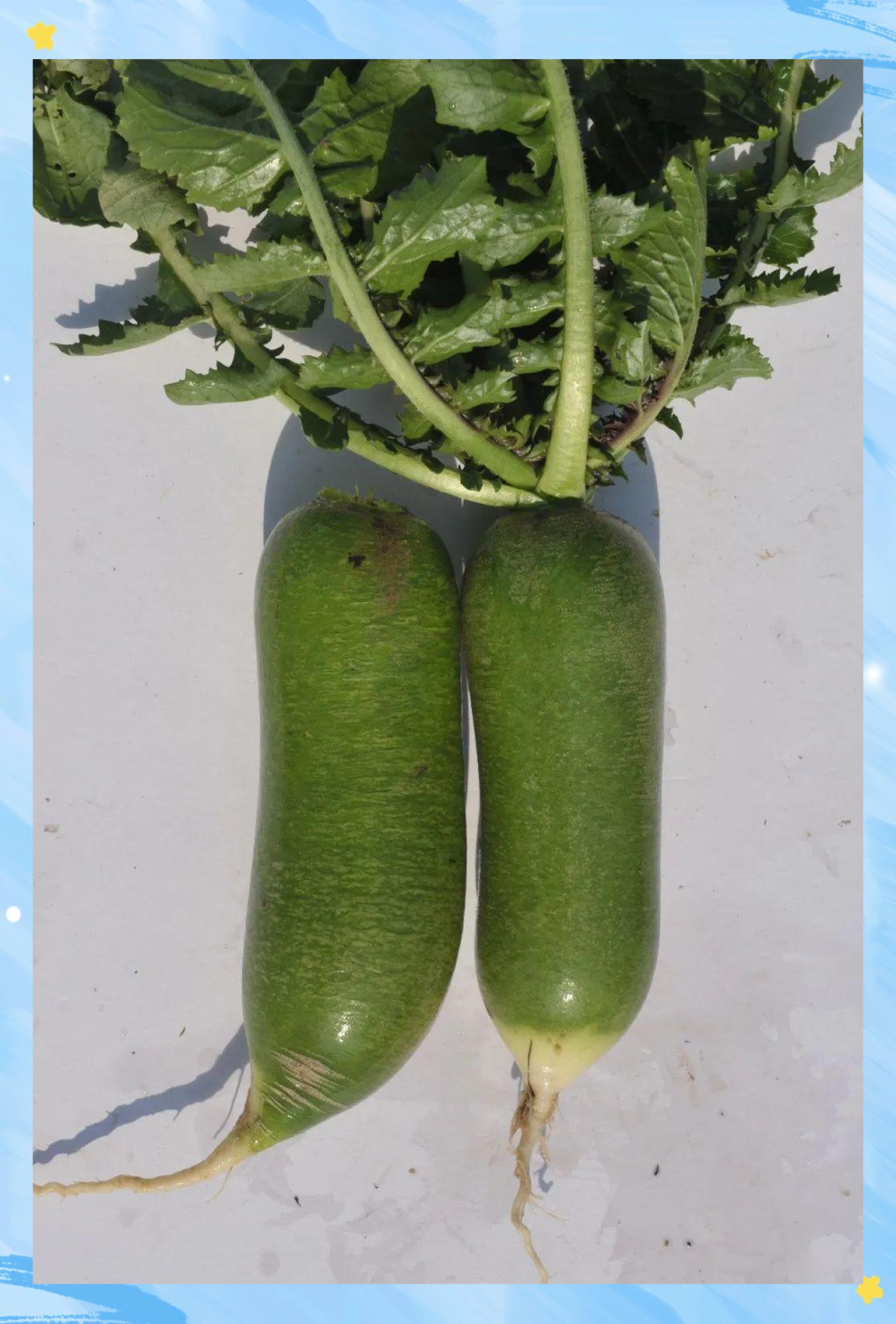 清热去火,适宜夏天食用