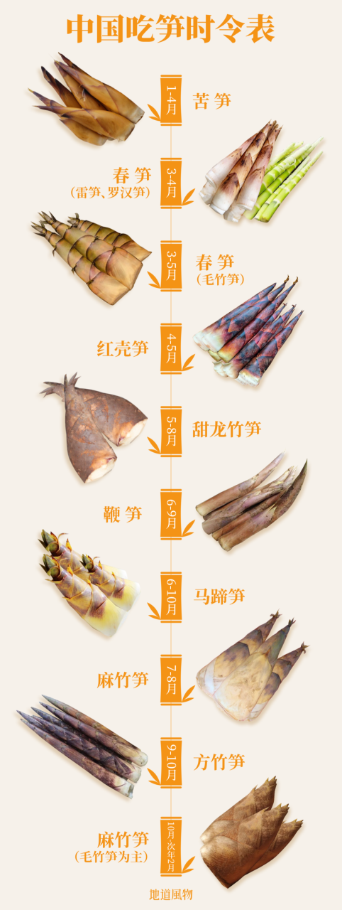 怎么让竹笋充分发挥功能?