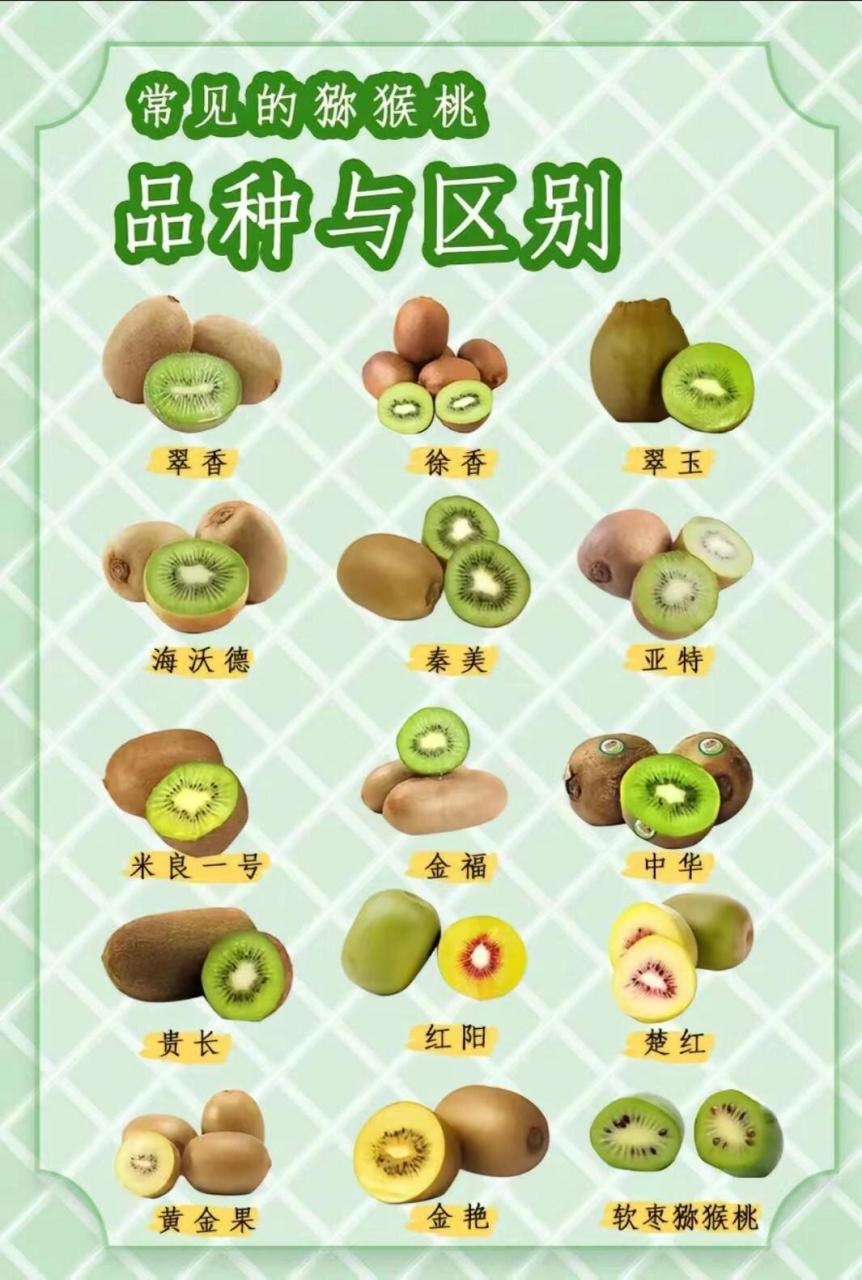 提高睡眠质量