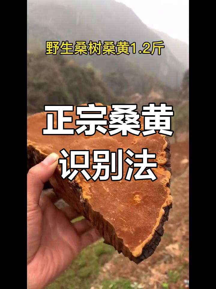 对健康多种益处