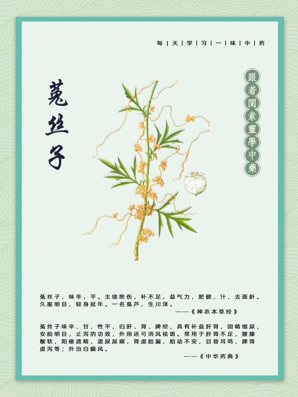 适合人群与注意事项