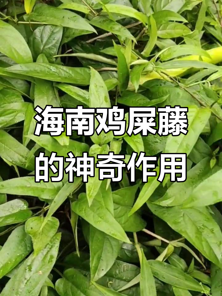 小编