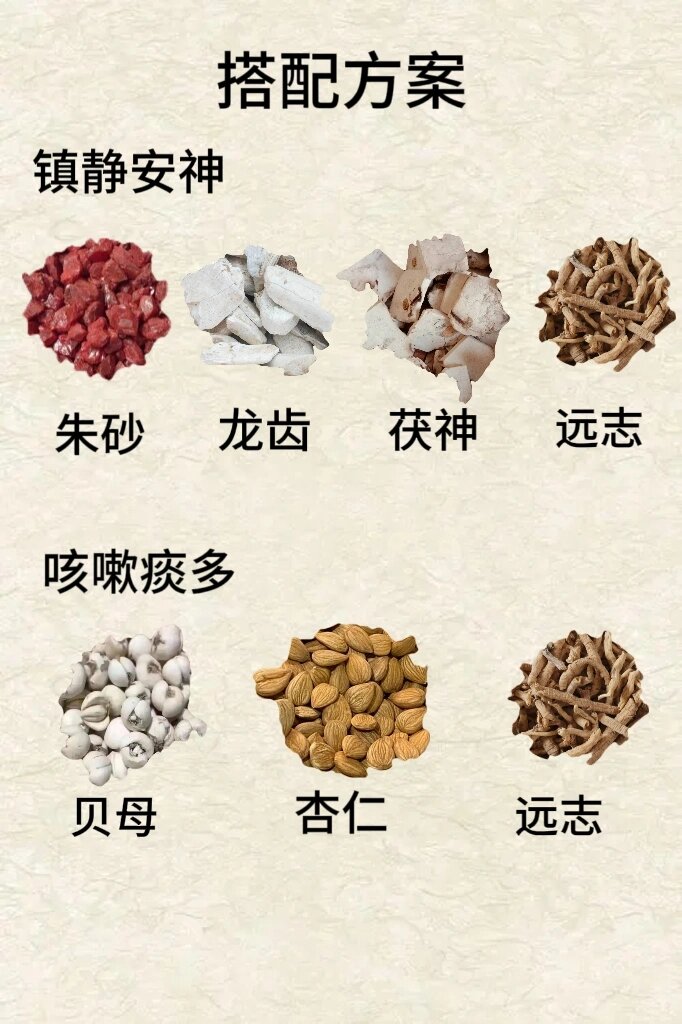 现代研究中的远志