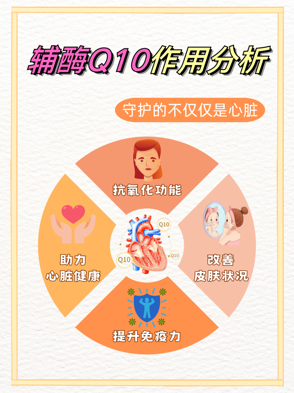 Q10辅酶有哪些健康功效？