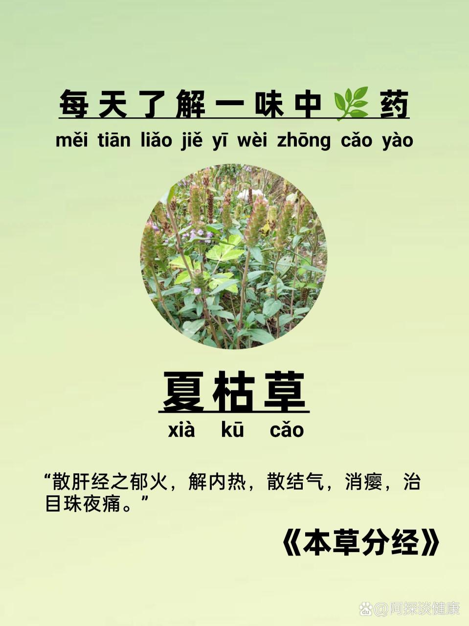 小编总结