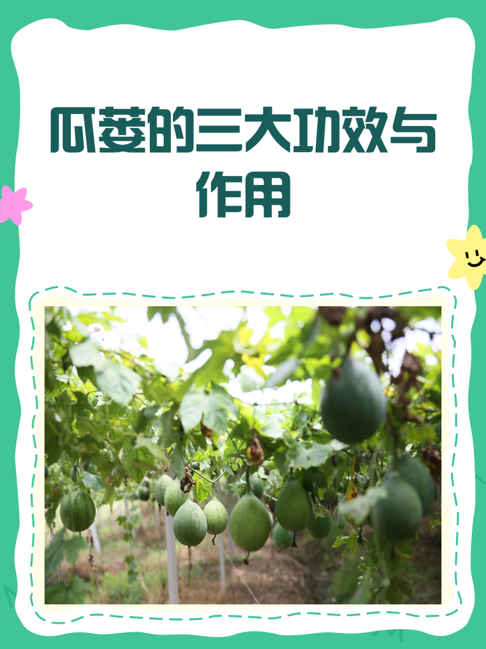 天花板健康益处