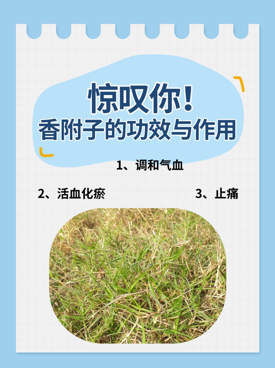 临床应用与注意事项