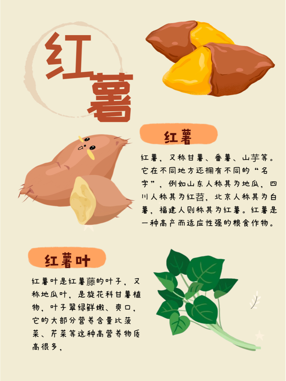 各种各样吃红薯的办法,刺激味蕾