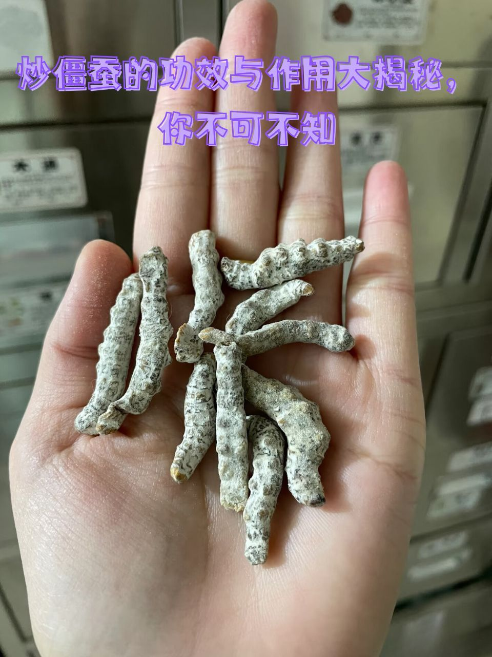 抗炎抗菌,增强免疫力
