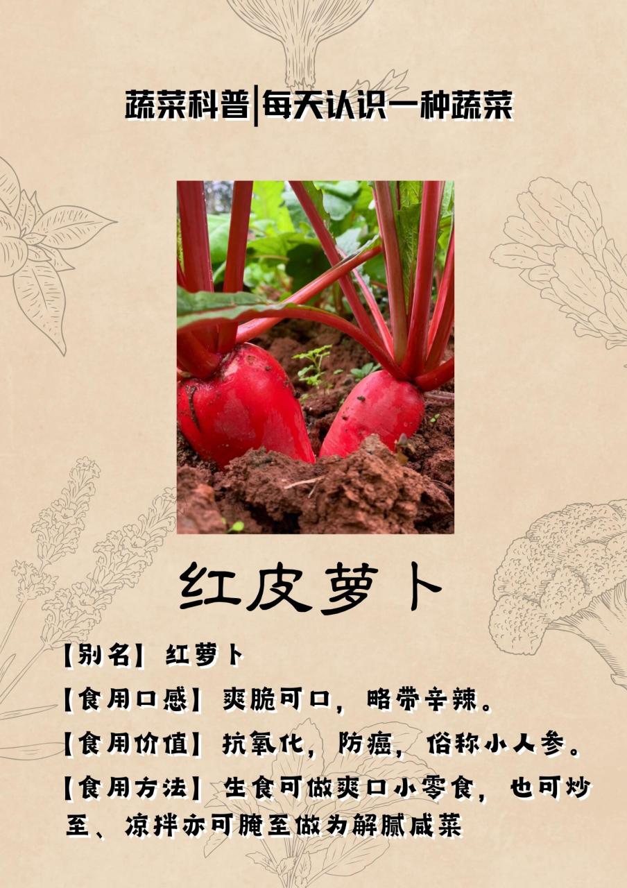 适合各种人群食用