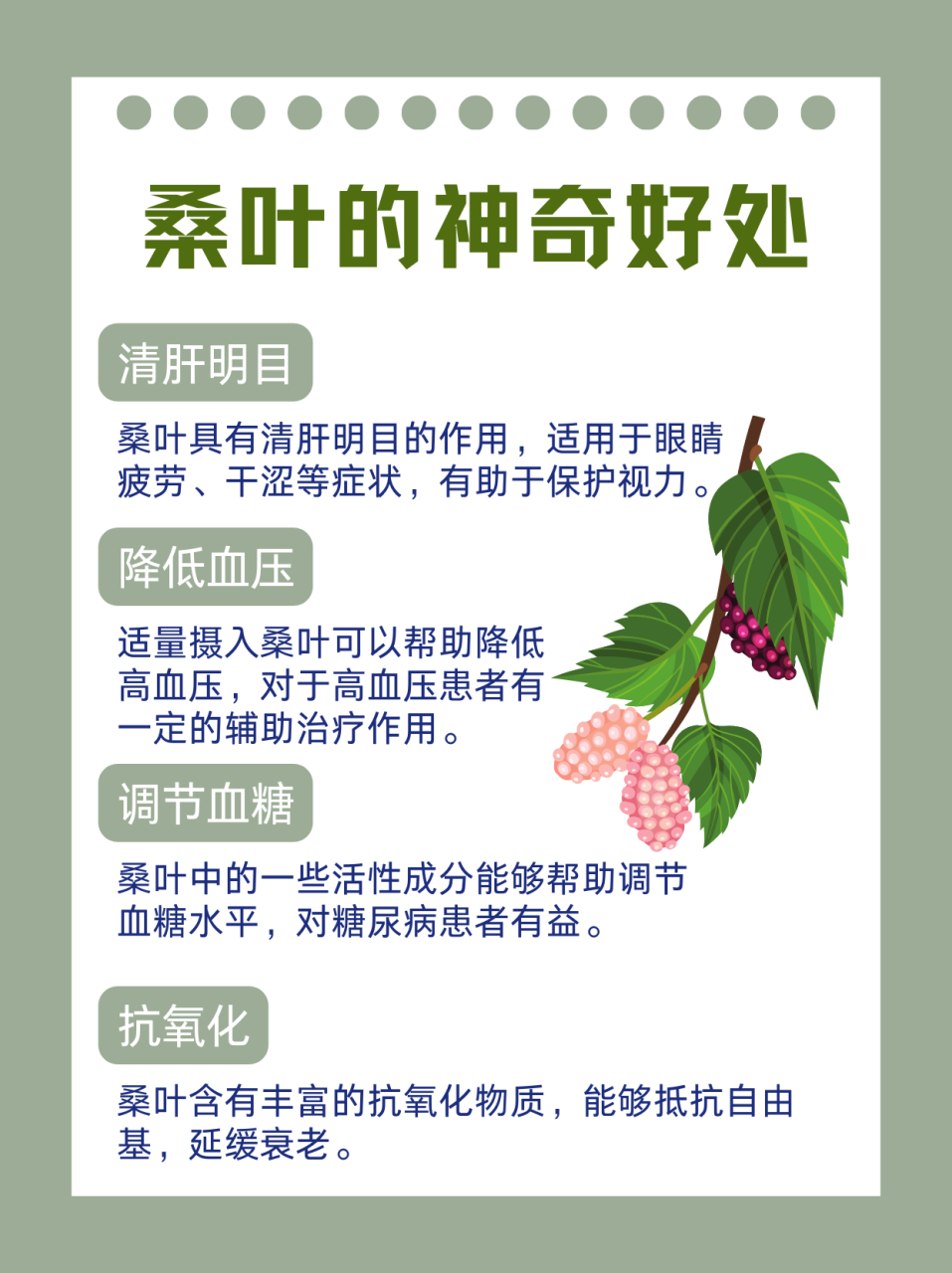 桑叶健康作用