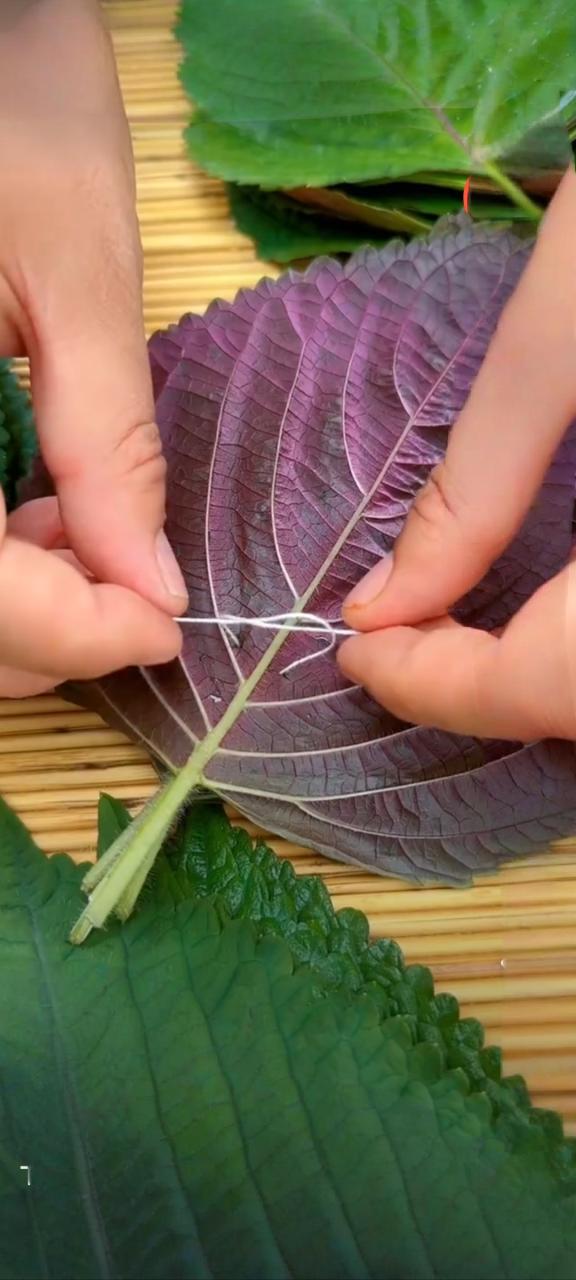 现代生活中的健康选择