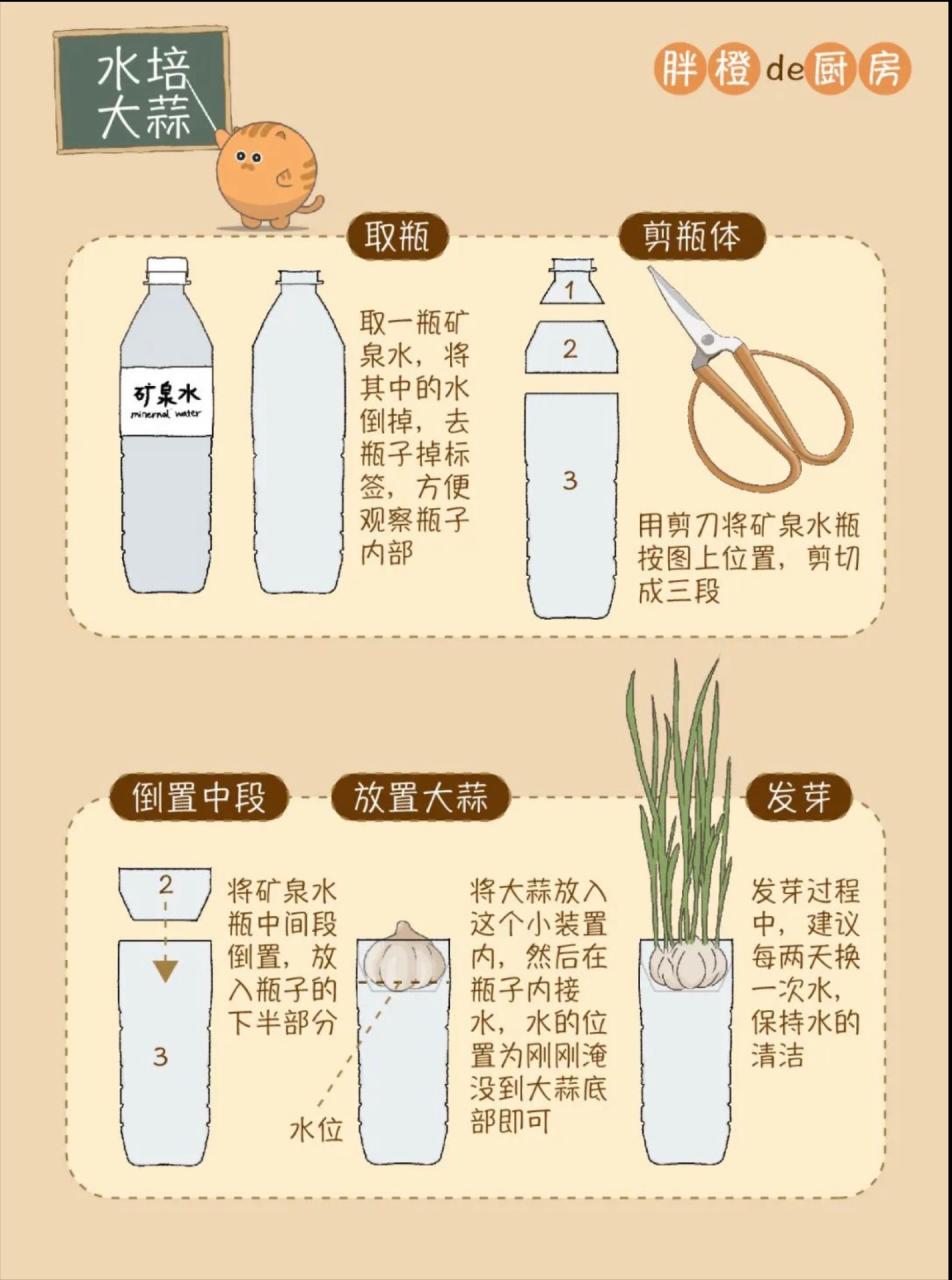 保护血管的小卫士