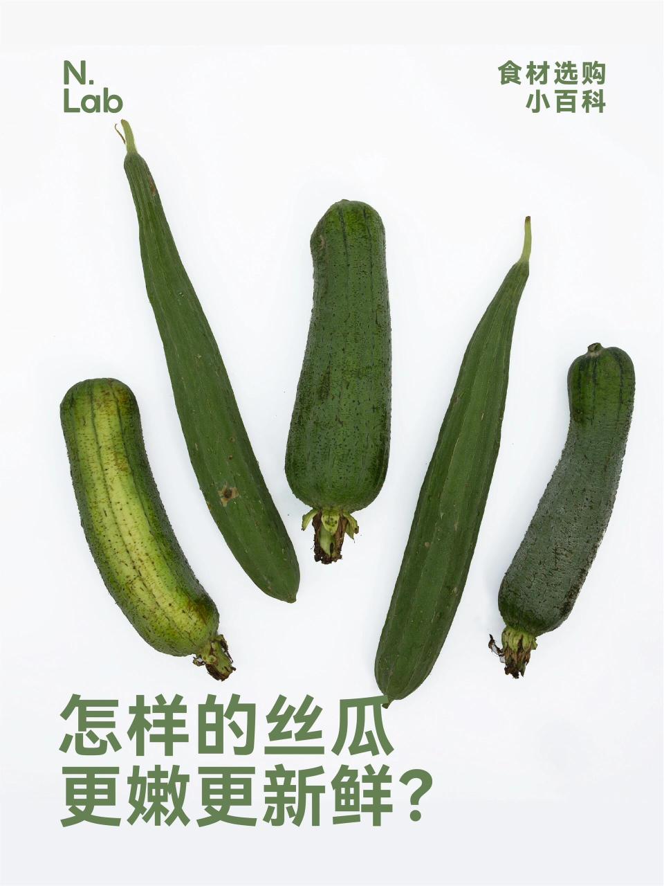 促消化,缓解便秘
