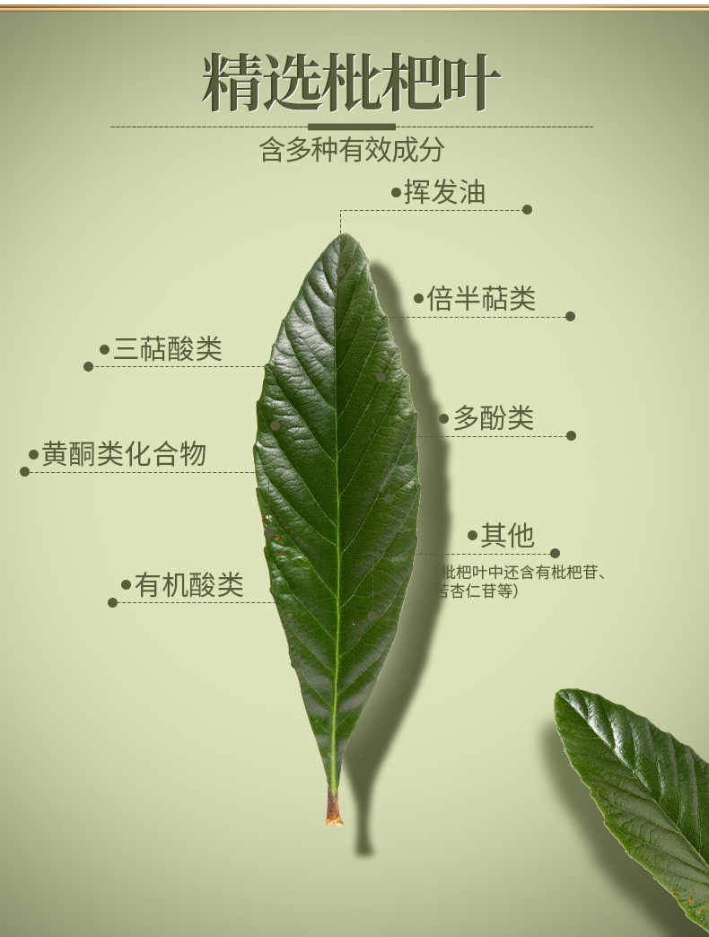 抗炎抗氧化,守护身体健康