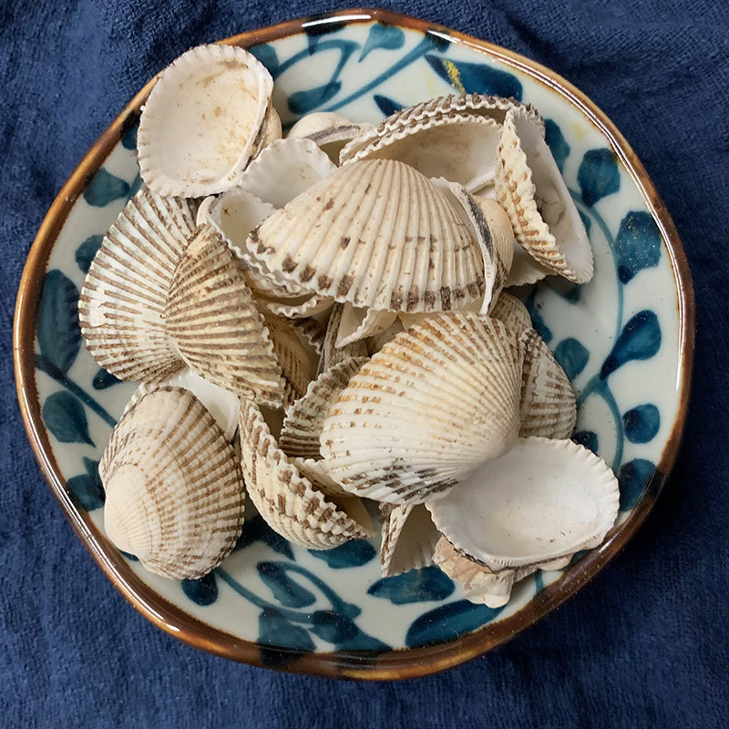 常见用途与使用方法