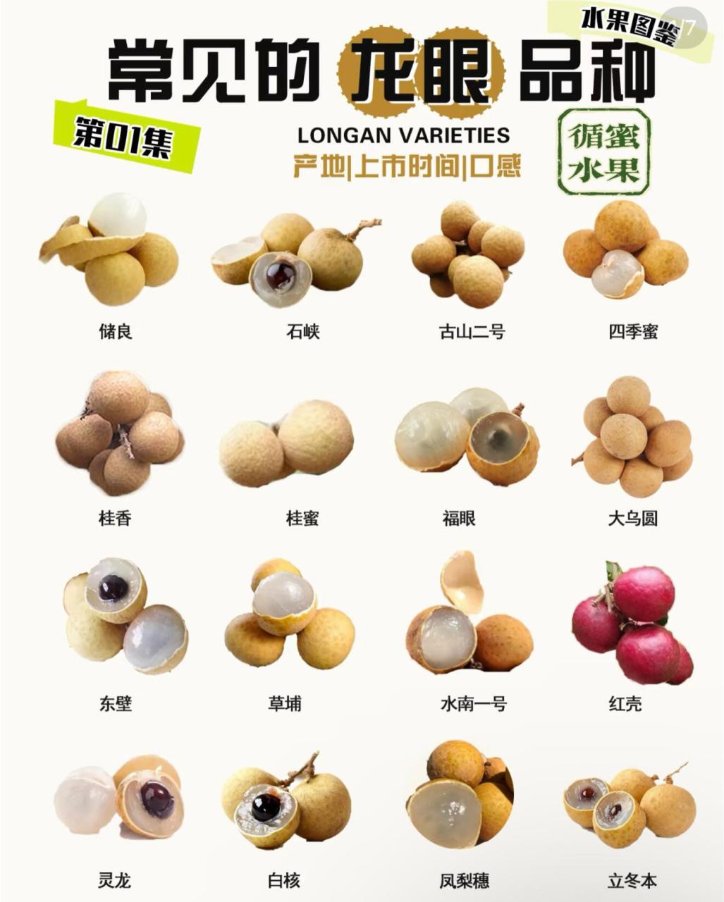 保护心血管,延缓衰老