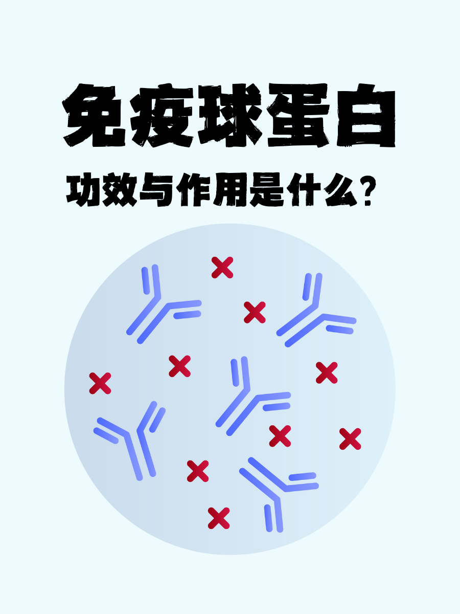 如何科学填补足球蛋白?