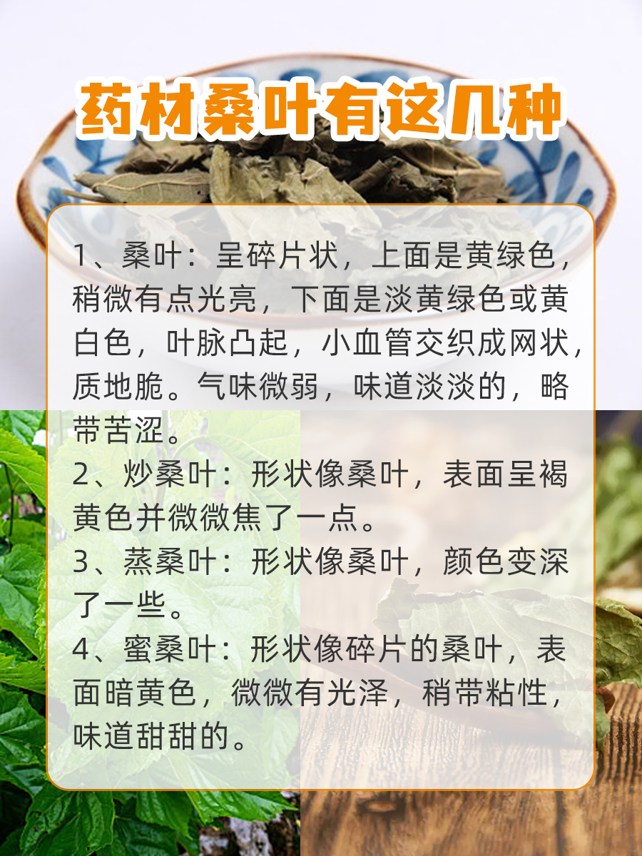 如何吃桑叶?