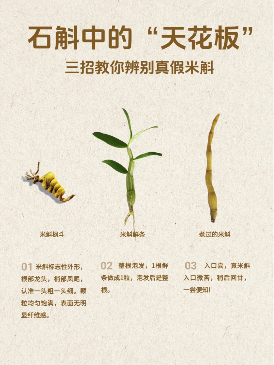 石斛对身体健康有哪些实际带来的好处?