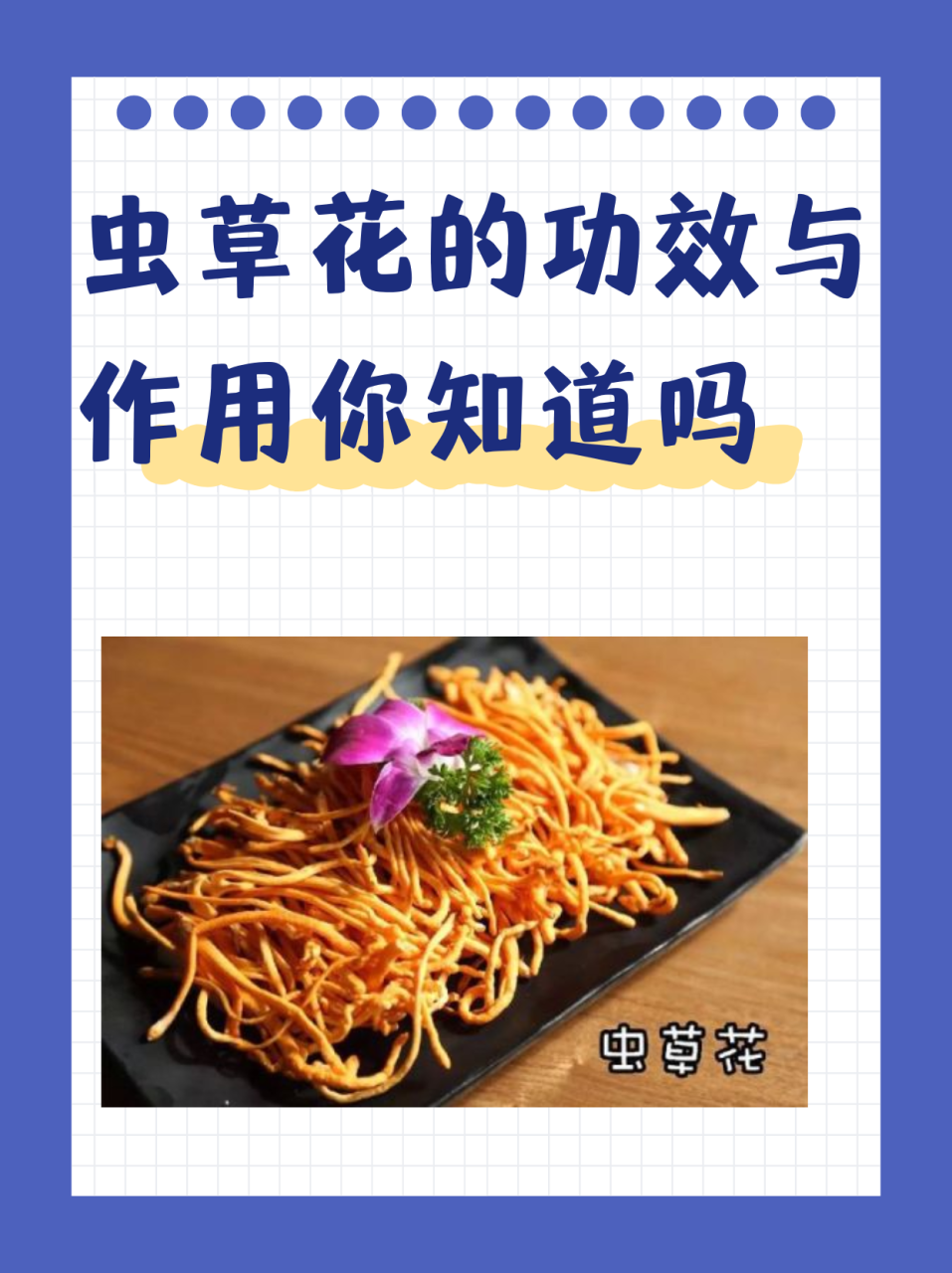 虫草花健康作用