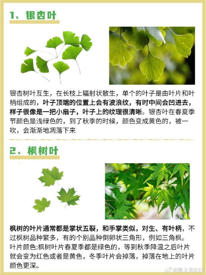减轻压力和焦虑