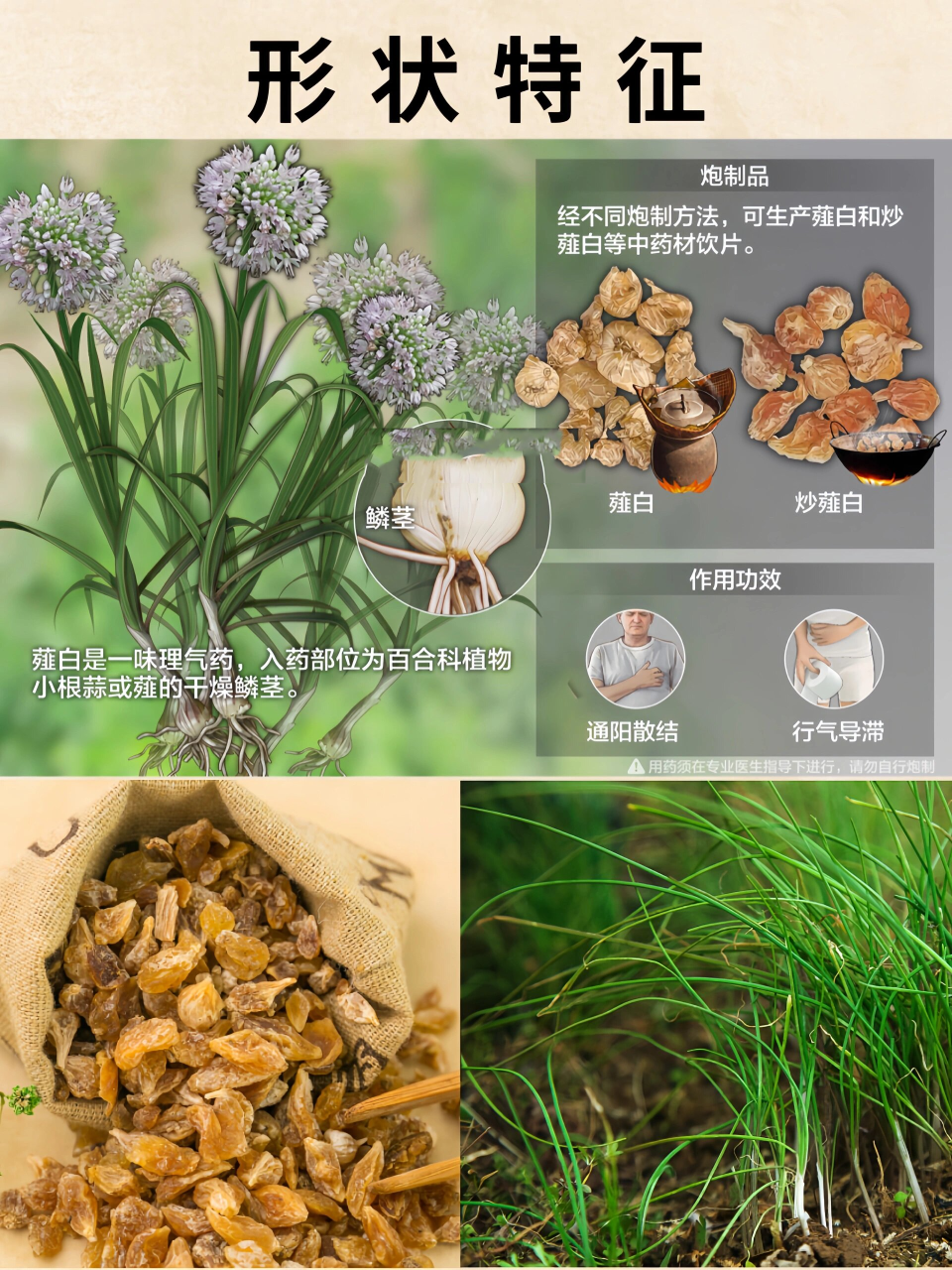 效果明显,传统式智慧结晶