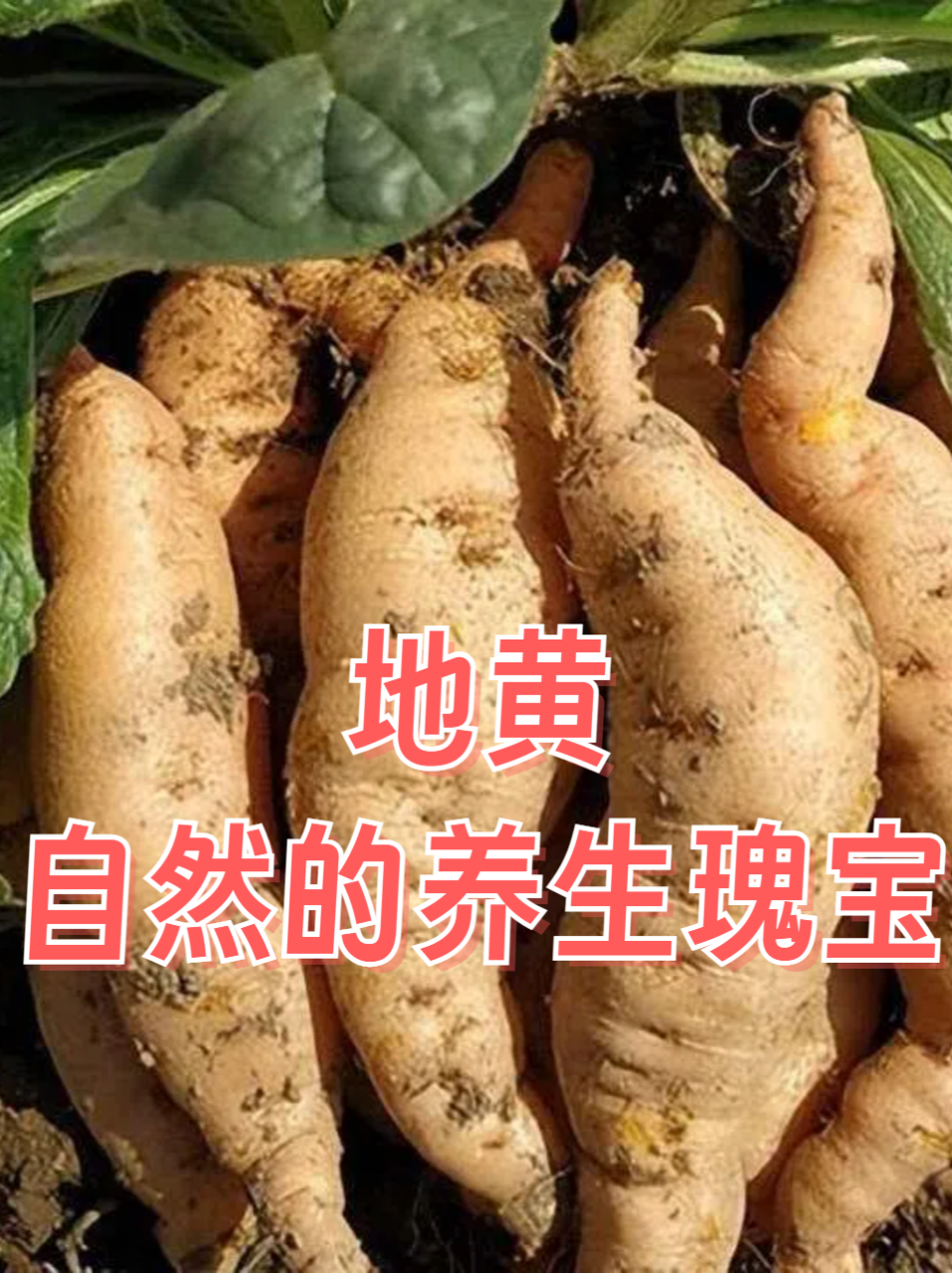 常见的用途与搭配