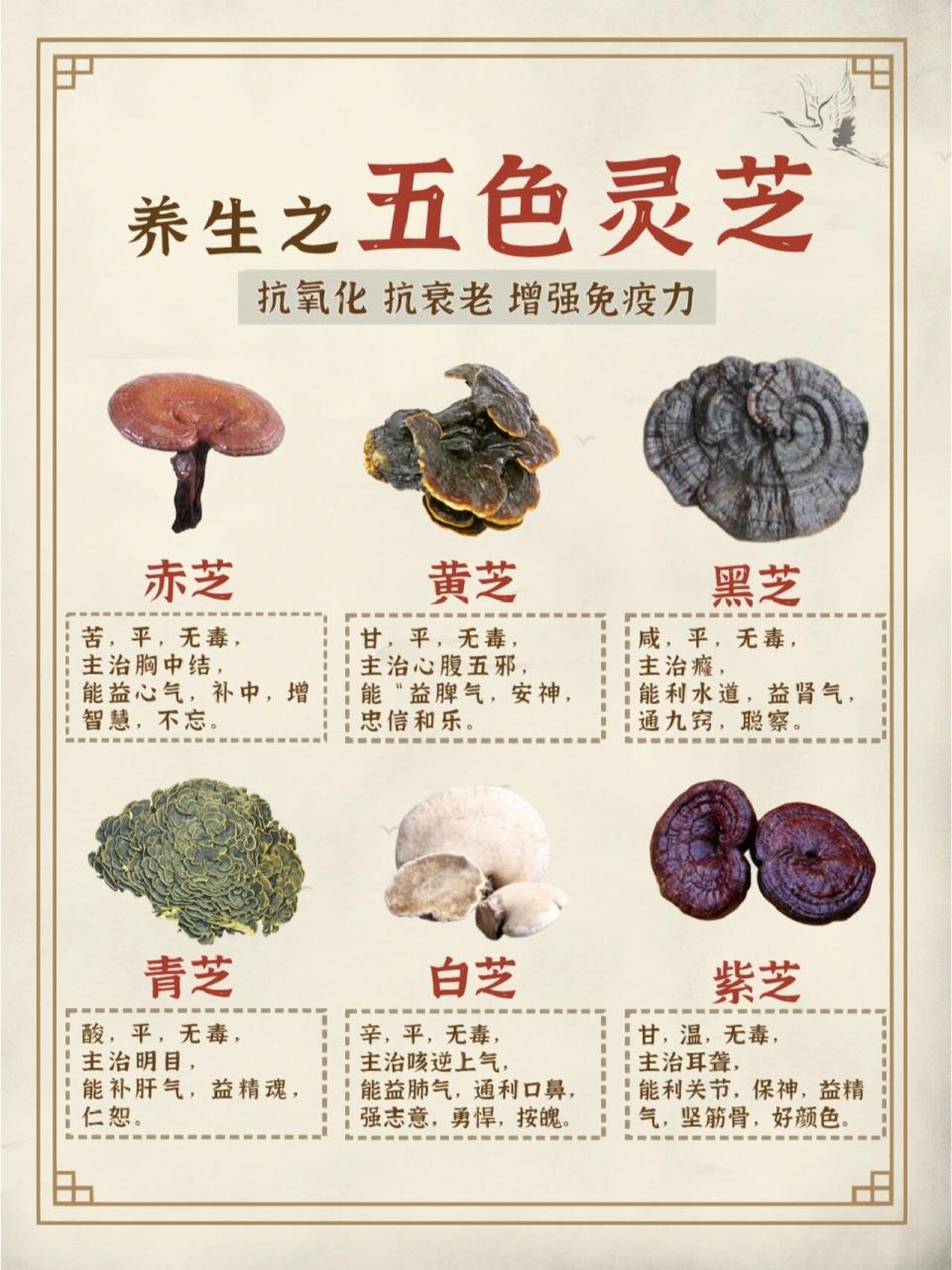 安神助睡眠,消除疲劳