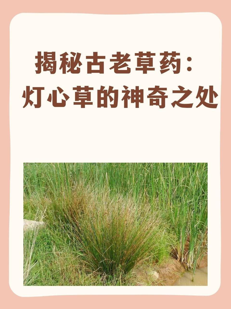 自然的力量值得信赖