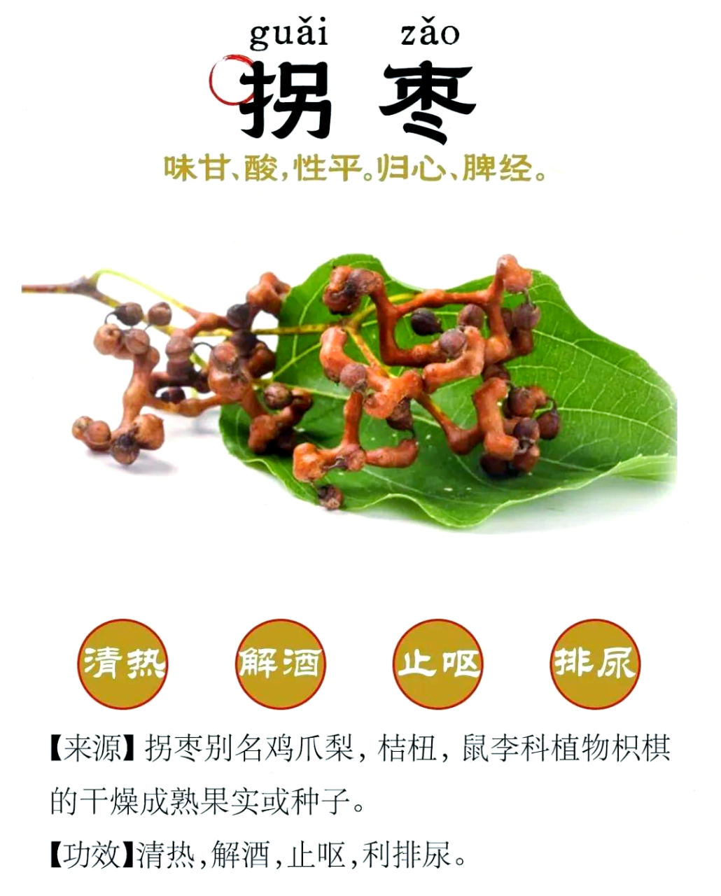 怎样吃得更身心健康?