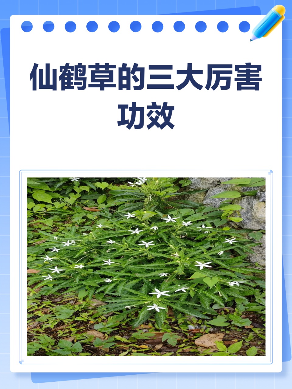 日常生活当中好用小技巧