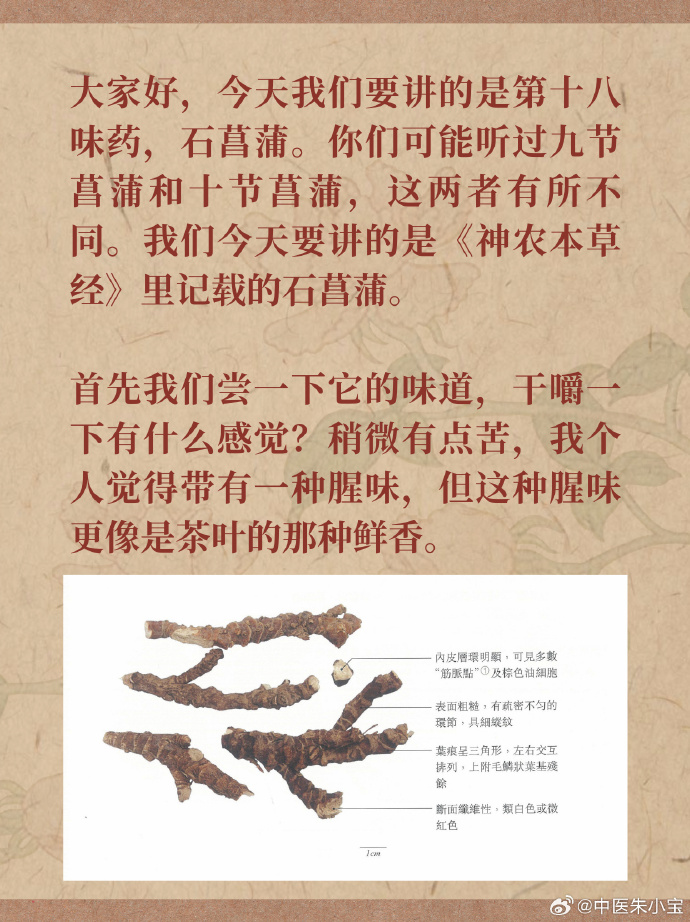 增强记忆力的自然力量