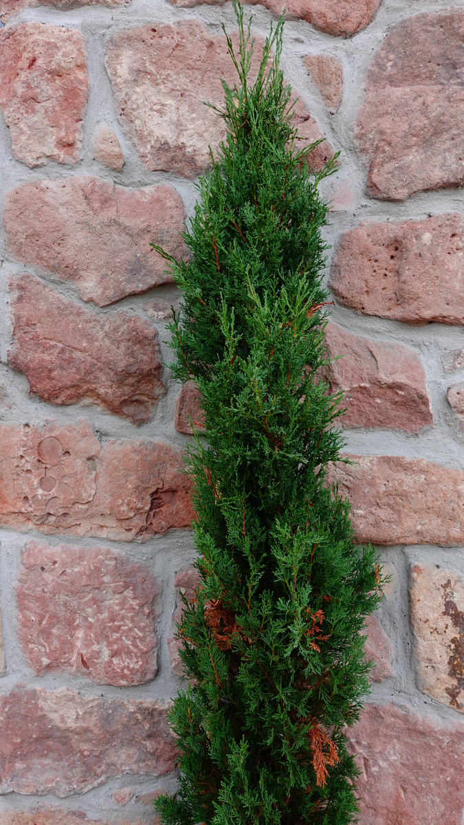 日常保健和应用提议