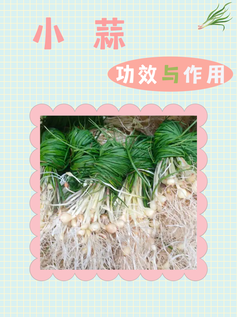 适用人群及注意事项