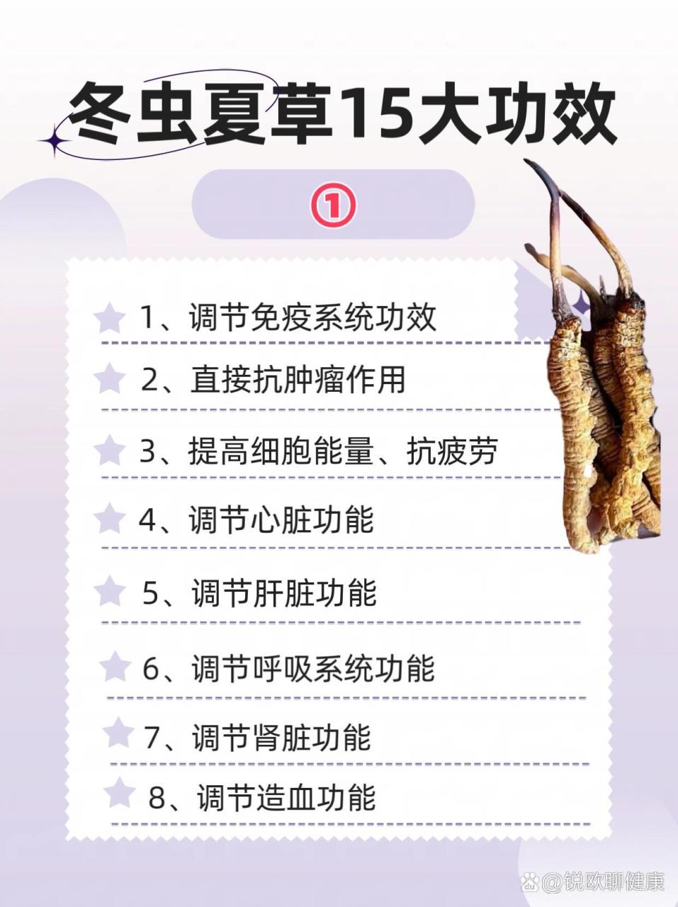 如何正确使用冬虫夏草?