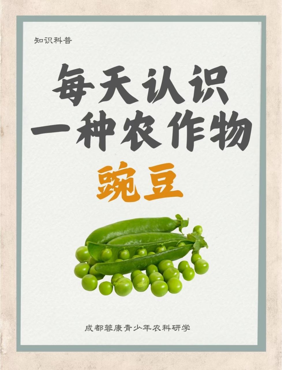 控制血糖,稳定能量来源