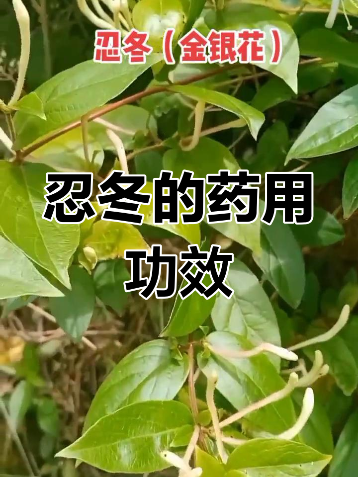健康益处多多
