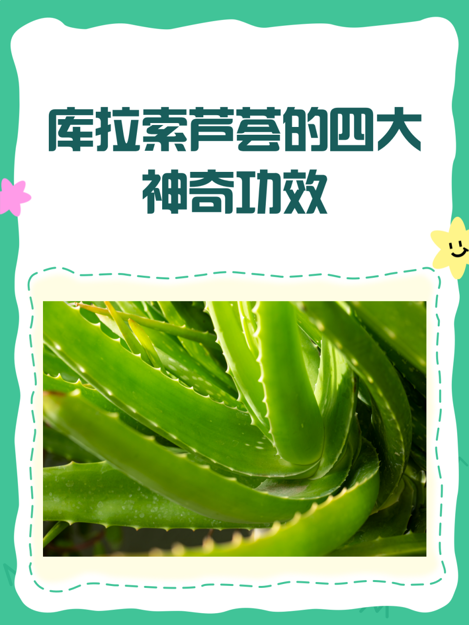 日常应用方法多样