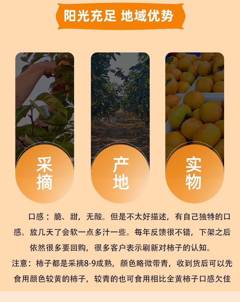 低热量高营养的健康之选