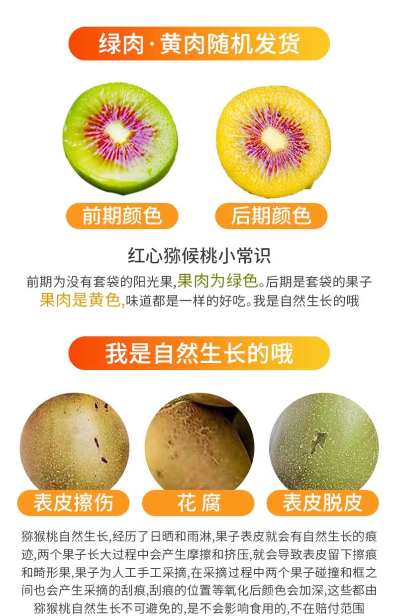 多元化的饮食习惯