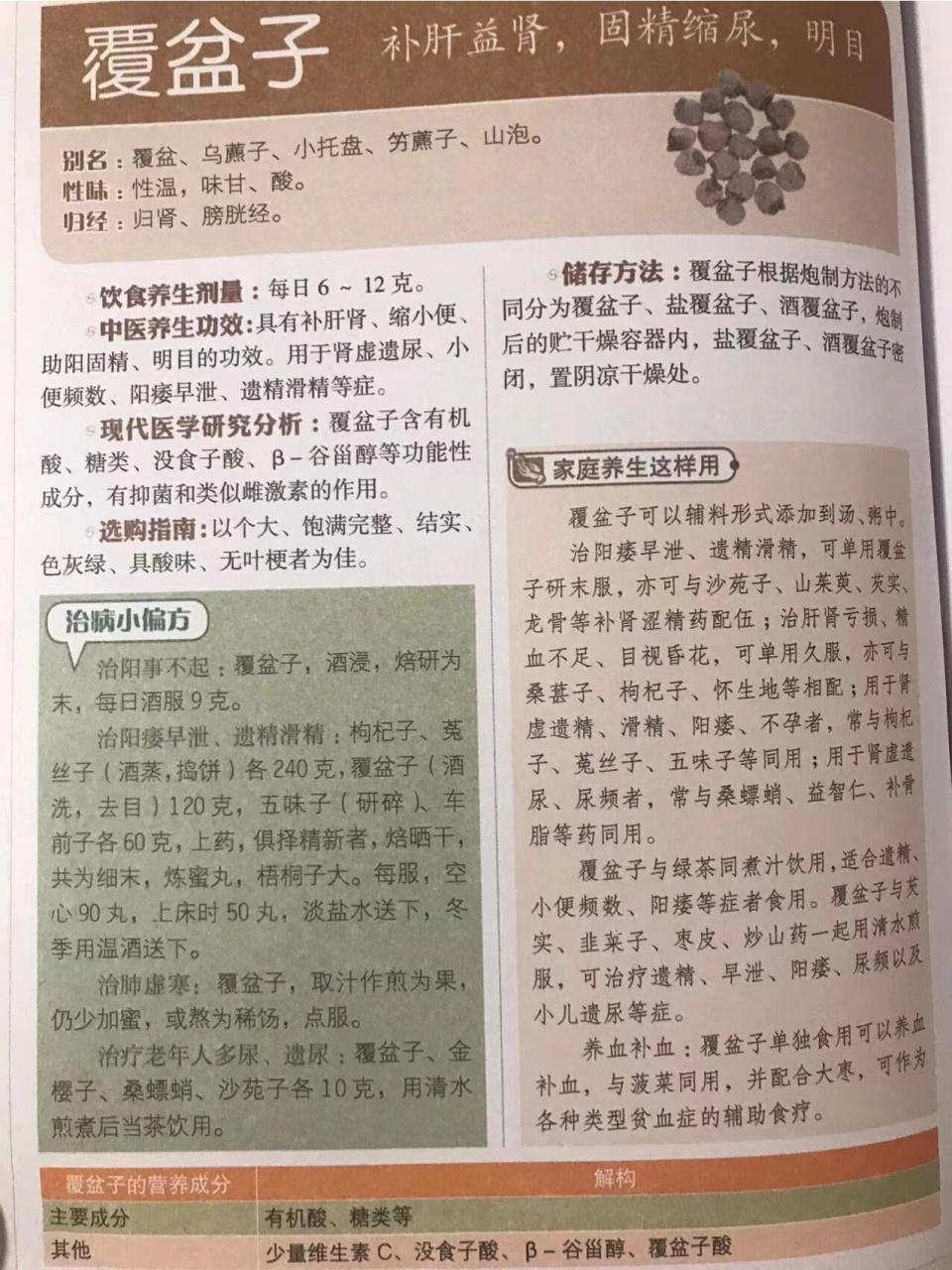 日常服用提议